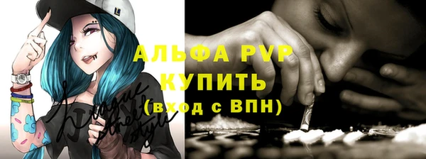 стаф Сафоново