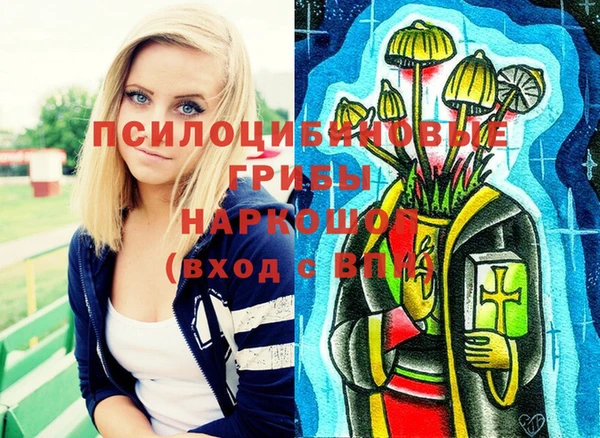 прущий лед Видное