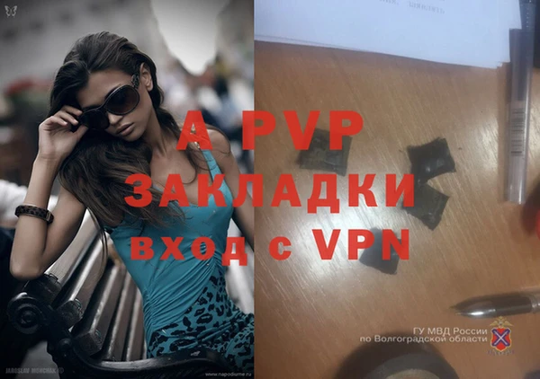 стаф Сафоново