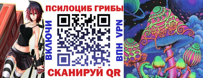 сколько стоит  KRAKEN tor  Псилоцибиновые грибы MAGIC MUSHROOMS  Тырныауз 