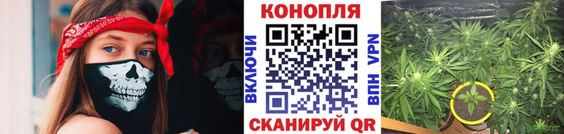 сайты даркнета формула  Тырныауз  Канабис семена 